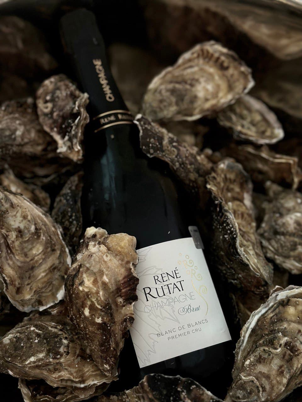 Event Photography 10